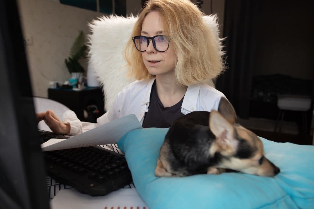 commercial lease agreement